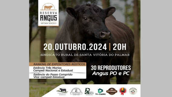 Confira a Playlist completa com os vídeos da 7ª Ed. Leilão Reserva Angus